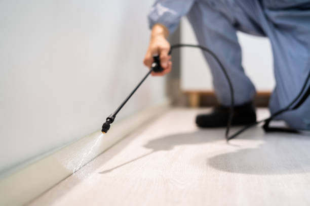 Certified termite inspector examining foundation in Creston